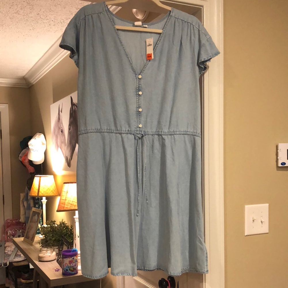 Gap Button-Down Dress